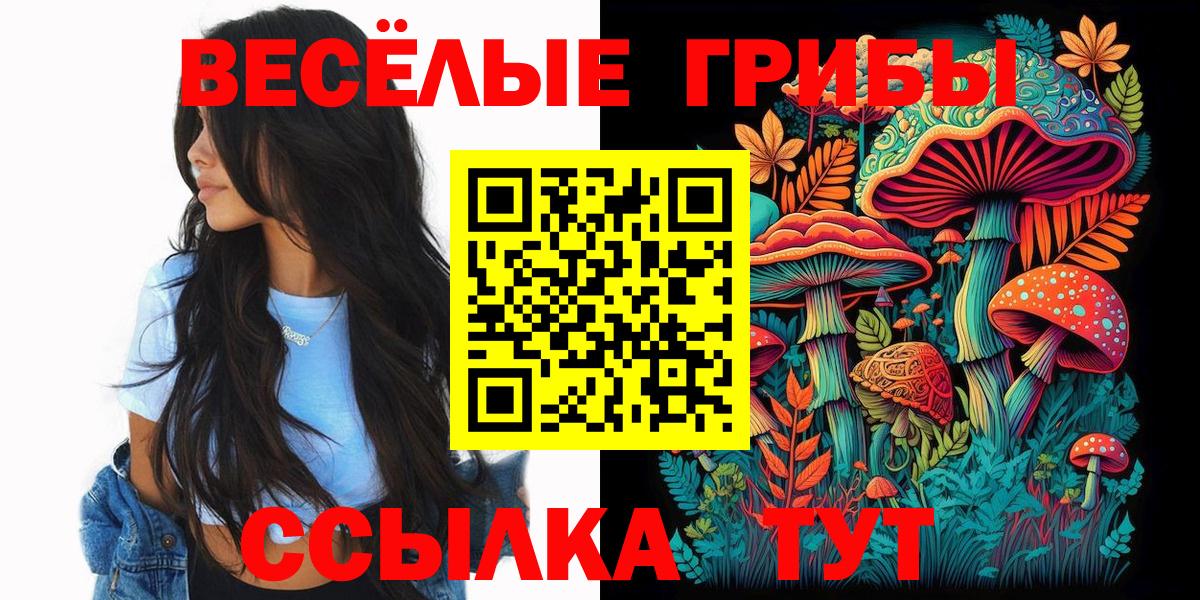 Галлюциногенные грибы прущие грибы  Вход с VPN  Галлюциногенные грибы мицелий  Черногорск 