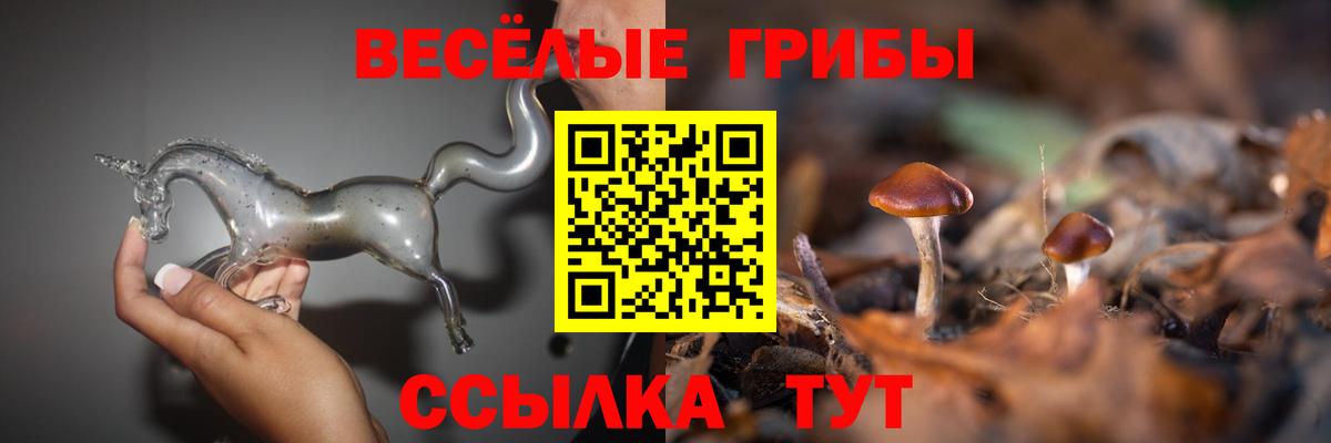 Псилоцибиновые грибы ЛСД Черногорск